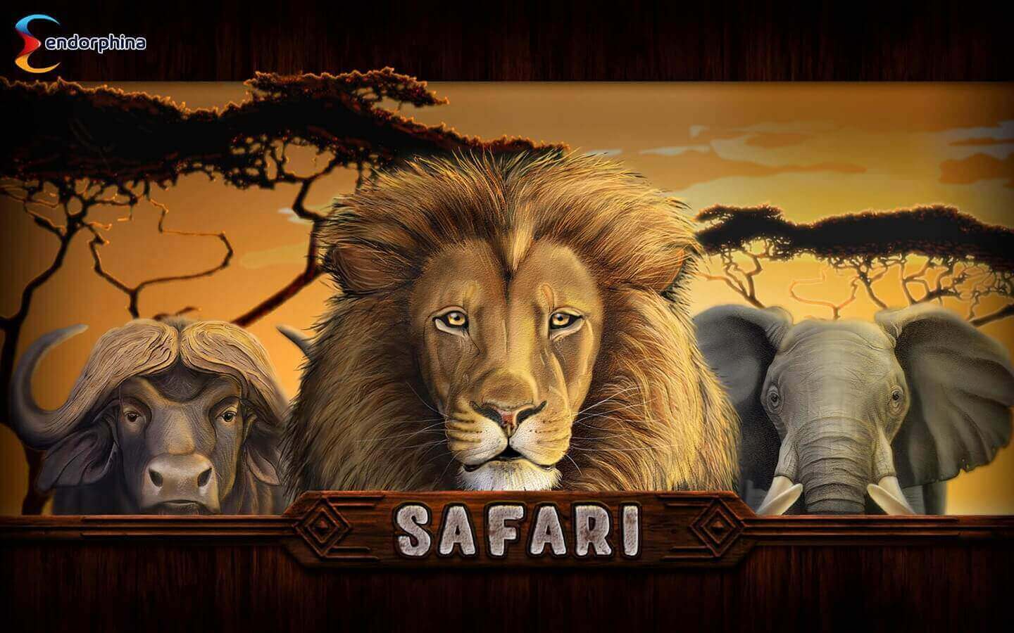 Safari Processo do jogo