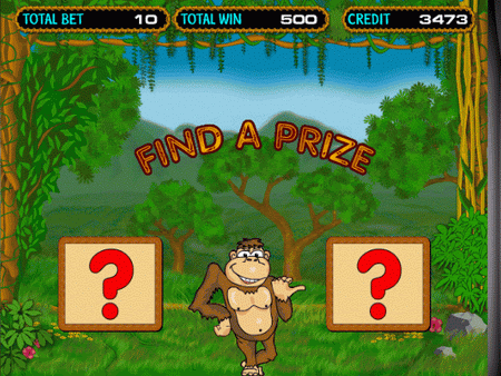 Crazy Monkey 2 Processo do jogo